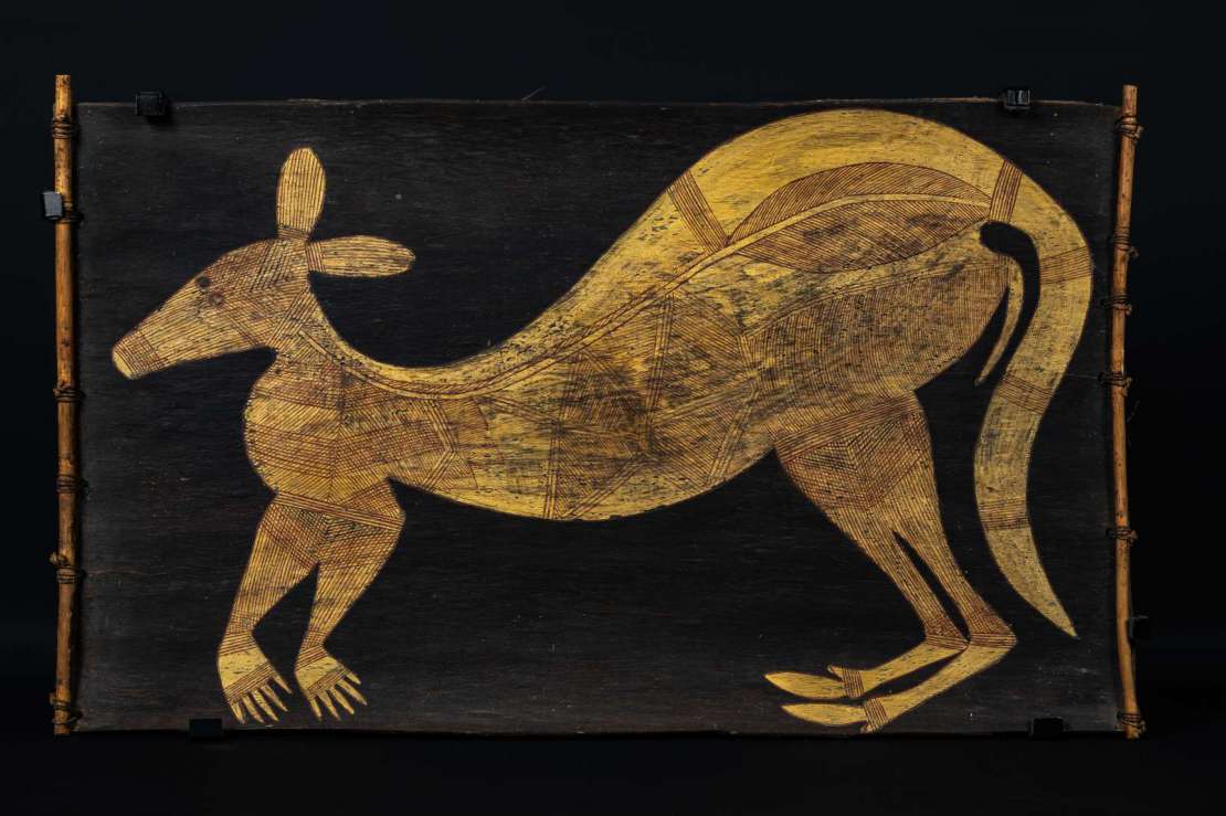 Kangourou. Cliché V. Lagardère, Musée Hèbre