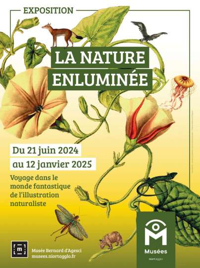 la nature enluminée