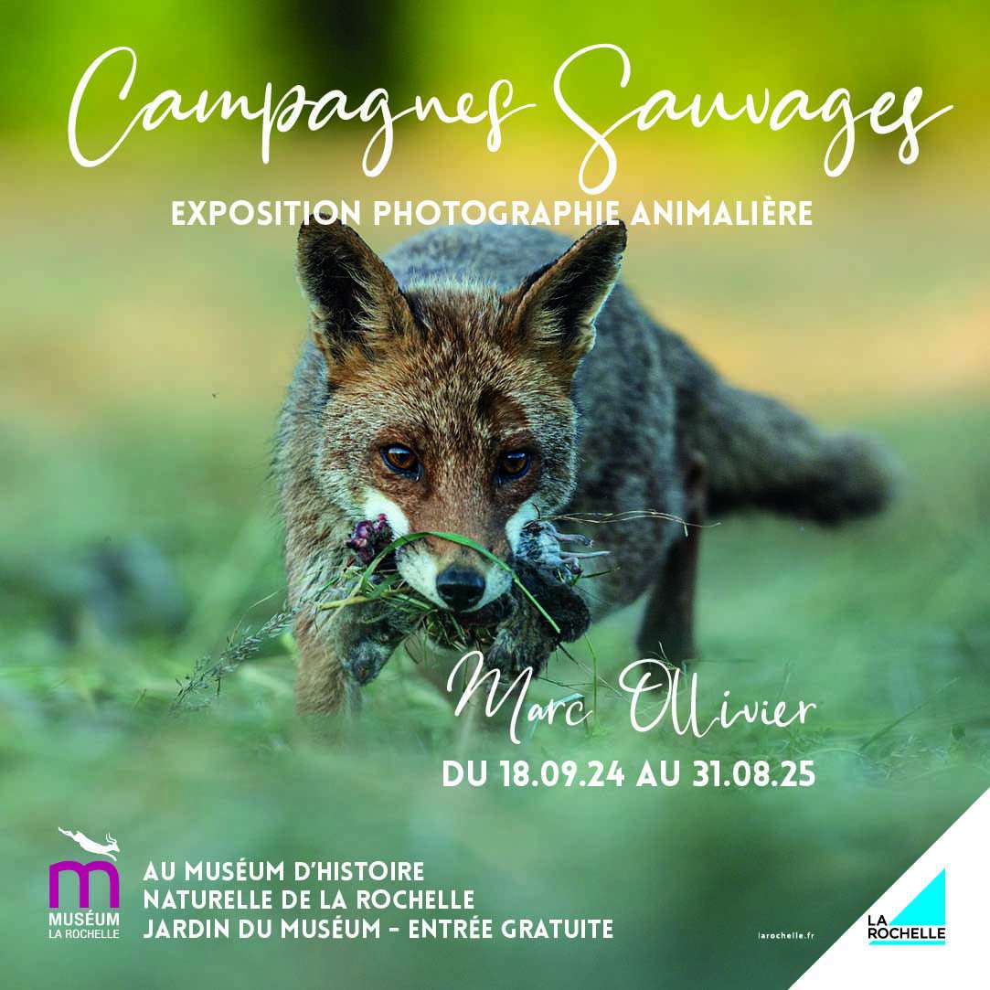 Affiche campagnes sauvages