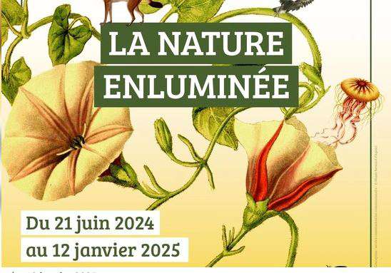 Niort agglo La nature enluminée