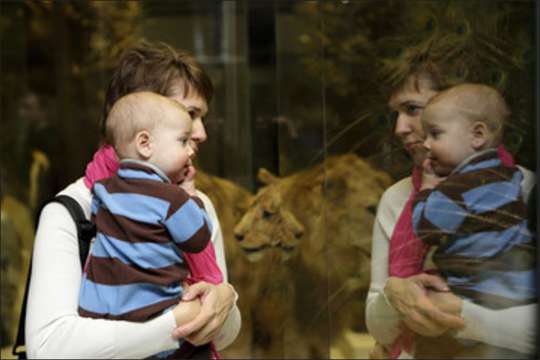 Bébés au musée