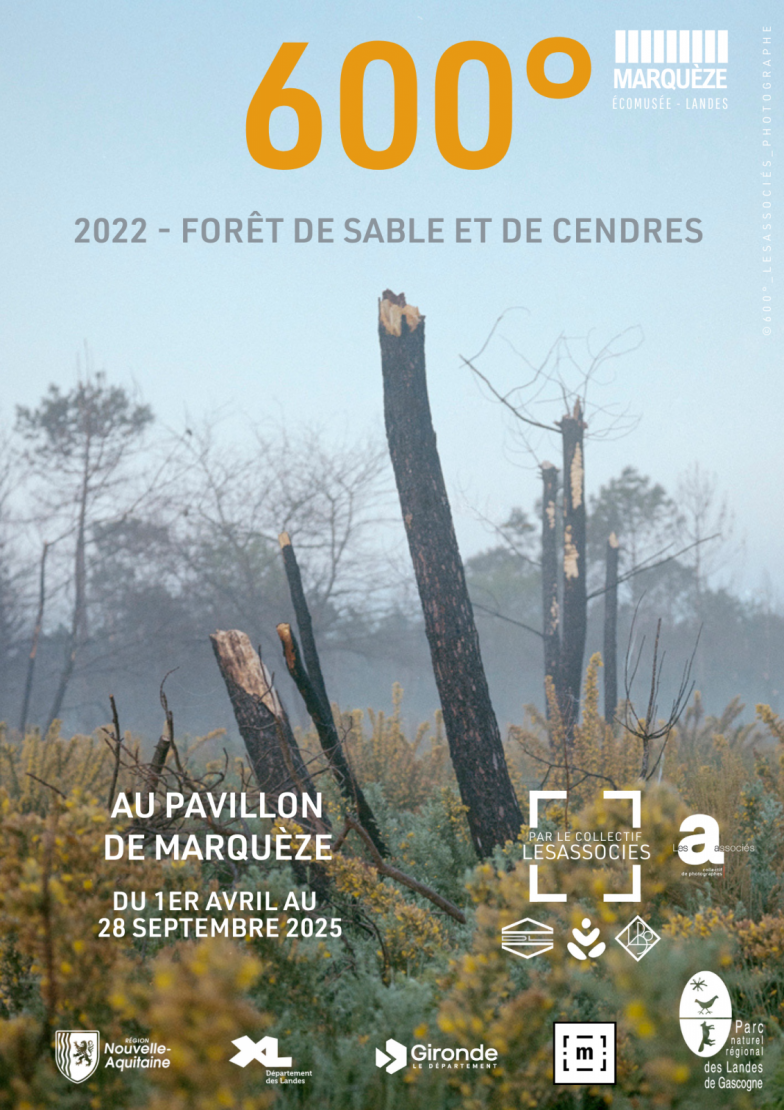 Affiche exposition 600° — Forêt de sable et de cendres. Au Pavillon de l'Écomusée de Marquèze