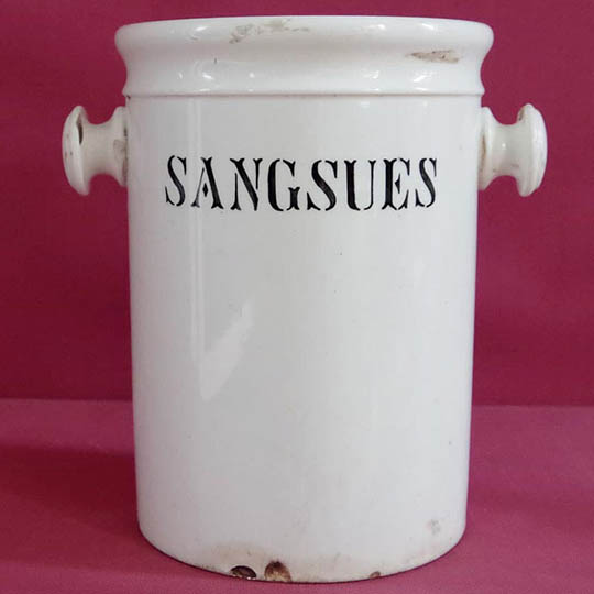 Pot de pharmacie : Sangsues