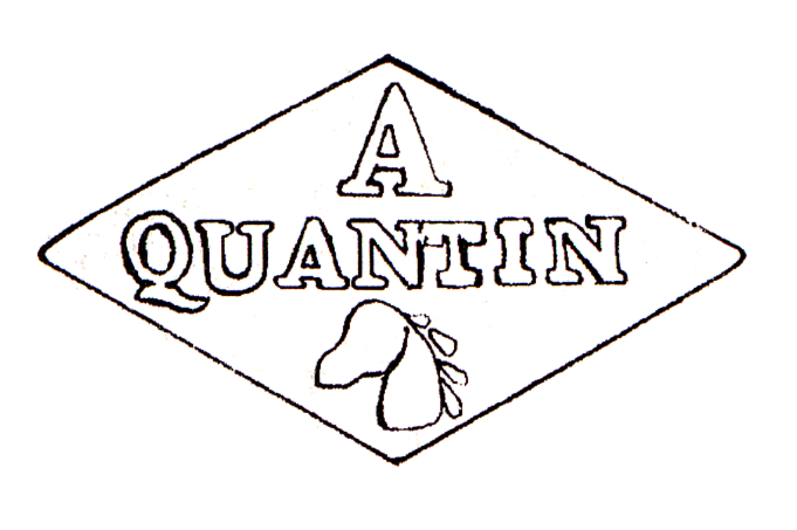 M0841_2004PEL01_PM-QuantinAFM